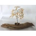 Golden/Honey Calcite & Clear Quartz Tree of Life 160 Chip Gumnuts